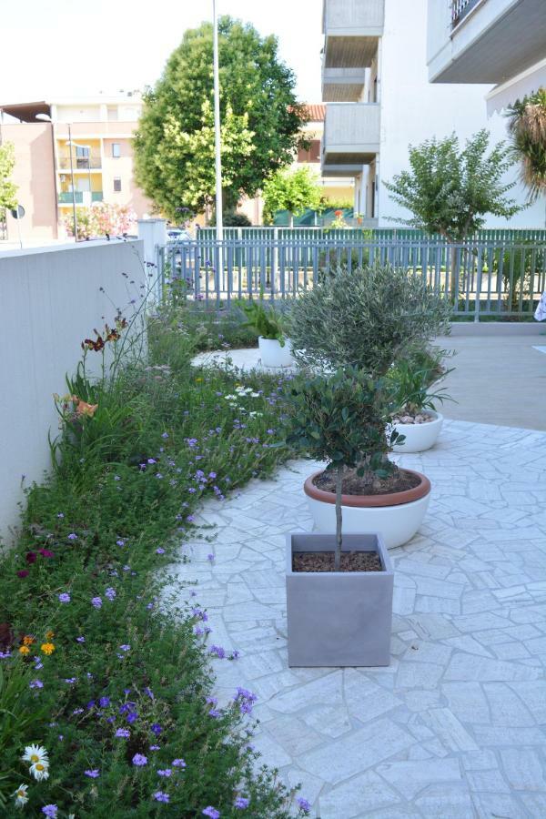Casa Polly B&B Grottammare Dış mekan fotoğraf